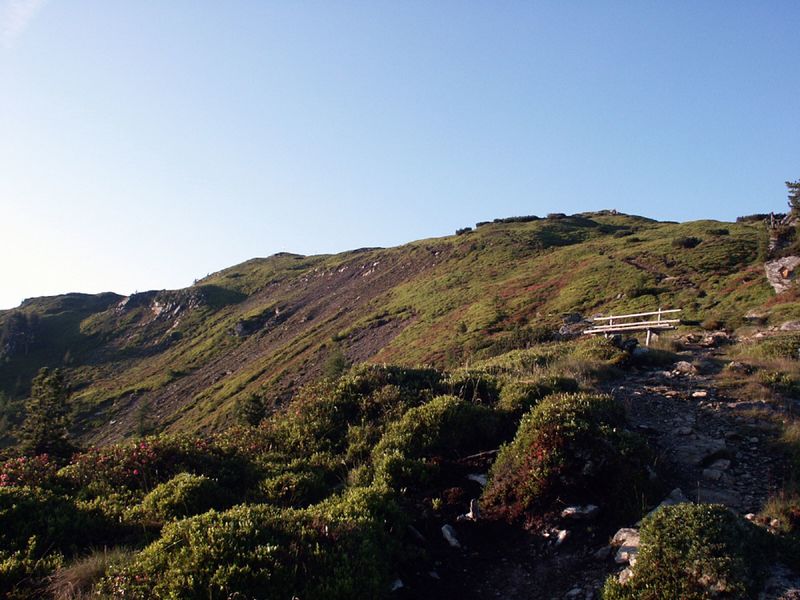 Datei:Guschen 15216 2002-06-30.jpg