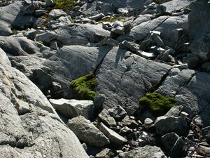 Kühkar-zwerfenberg 0663 2005-09-08.jpg