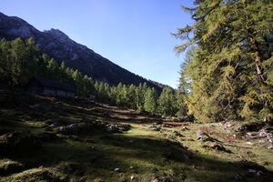 Kammalm 40595 2012-10-05.jpg