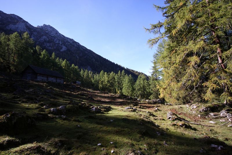 Datei:Kammalm 40595 2012-10-05.jpg