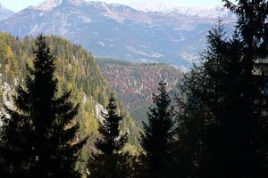 Klausgraben 10942 2015-10-27.jpg