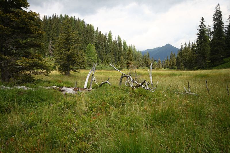 Datei:Knallkar großsölk 55666 2016-08-17.jpg