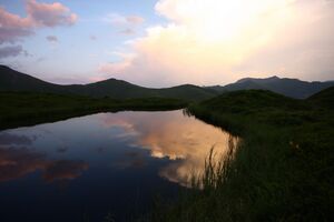 Krottenseen 1727 13-08-05.jpg