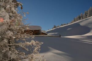 Obere Moseralm 50129 2007-11-28.jpg