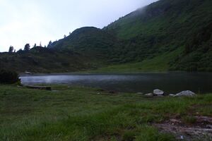 Plannersee 65217 2014-06-26.jpg