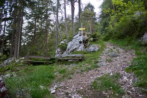 Rast Kirchweg pürgg-0326-2023-05-27.jpg