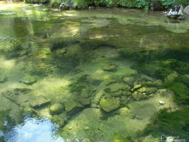 Datei:Salza Wasserfall 7667.jpg