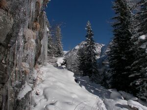 Steinriesental 47929 2007-01-26.jpg