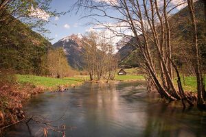 Untertalbach 7705 2012-05-04.jpg