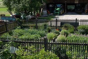 Vlg. weikl altlassing-0240-2023-06-14.jpg