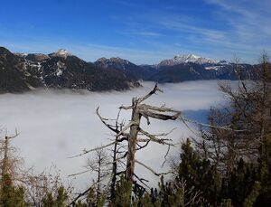 Almkogel-Hirscheck von gwöhnli.JPG