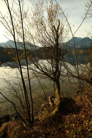 Altausseer See 78907 2014-11-15.jpg