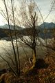 Altausseer See 78907 2014-11-15.jpg
