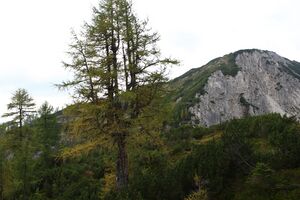 Bauernscharte tauplitzalm 34723 2016-09-26.jpg