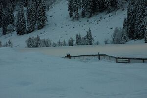 Bodensee 26458 2014-01-01.jpg