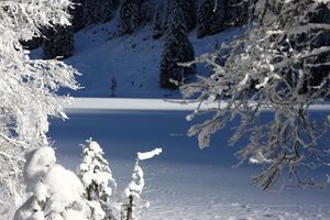 Bodensee 26631 2014-01-01.jpg