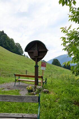 Hoandlkreuz vlg Haindl WB bei Liezen-475-2026-06-18.jpg
