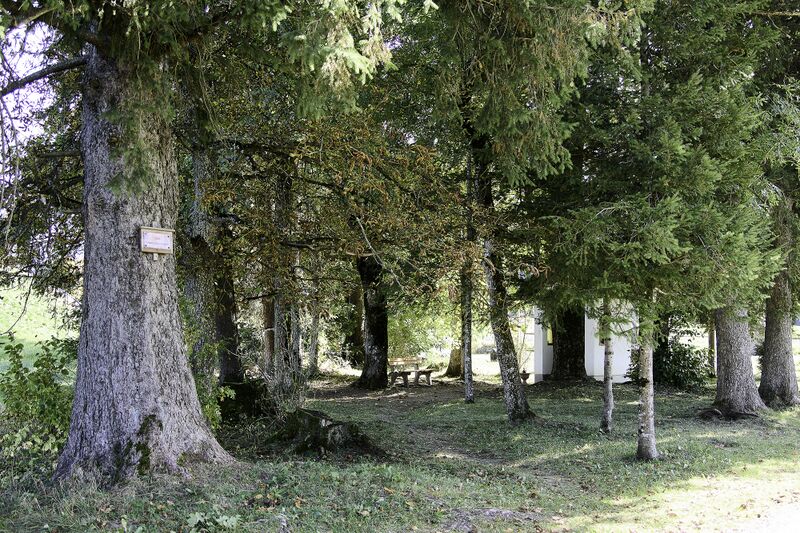 Datei:Kaiserjubiläumspark Bad M-0406-2023-10-13.jpg