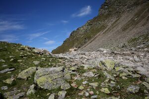 Kaltenbachschulter planaiHW 1010 2011-08-11.jpg