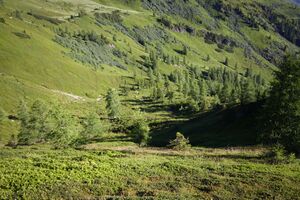 Klockalm 57776 2015-07-11.jpg