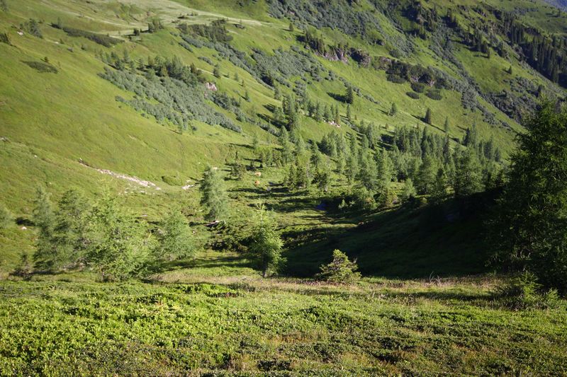 Datei:Klockalm 57776 2015-07-11.jpg