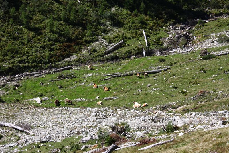 Datei:Lassachkar kleinsölk 99200 2015-08-28.jpg