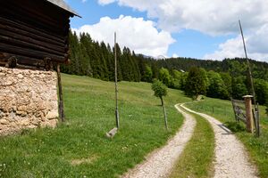 Preterebner Wörschachberg-341-2026-05-19.jpg