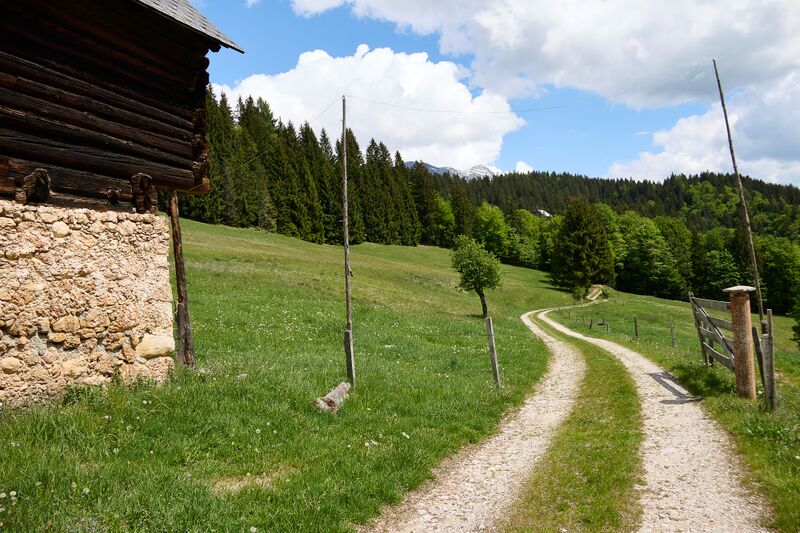 Datei:Preterebner Wörschachberg-341-2026-05-19.jpg
