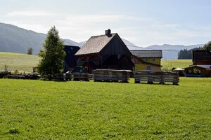 Vlg schneider Krungl-0699-2023-10-03.jpg