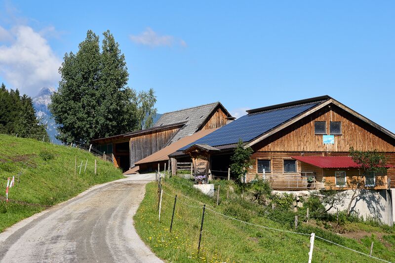 Datei:Vlg staber schattenberg 96-0490-2023-08-11.jpg