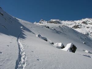 Wildkar 2503 2007-03-05.jpg