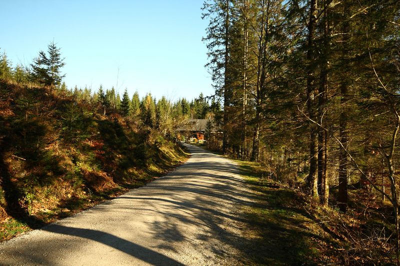 Datei:Ödensee 77970 2014-11-03.jpg