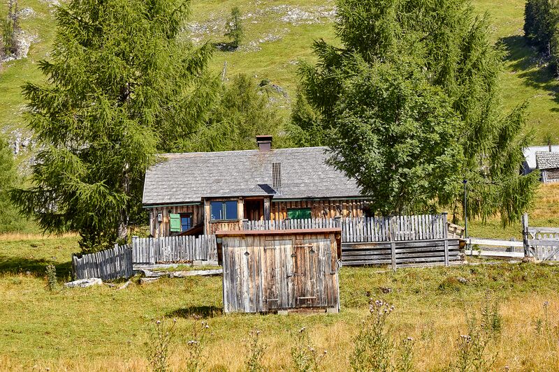 Datei:Bärenfeichtenalm-3109-2021-08-03.jpg