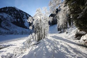 Bodensee 26539 2014-01-01.jpg
