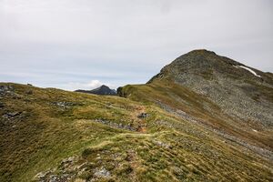 Gamsfeld pietrach 25204 2009-06-17.jpg