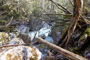 Klachauer gefällstufe-0119-2023-04-22.jpg