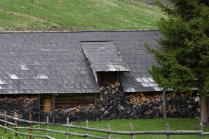 Strickeralm 55715 2014-05-02.jpg