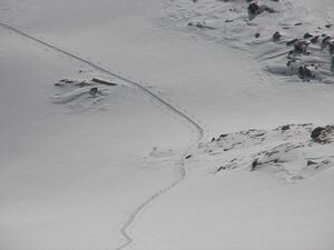 Wildkar 2464 2007-03-05.jpg