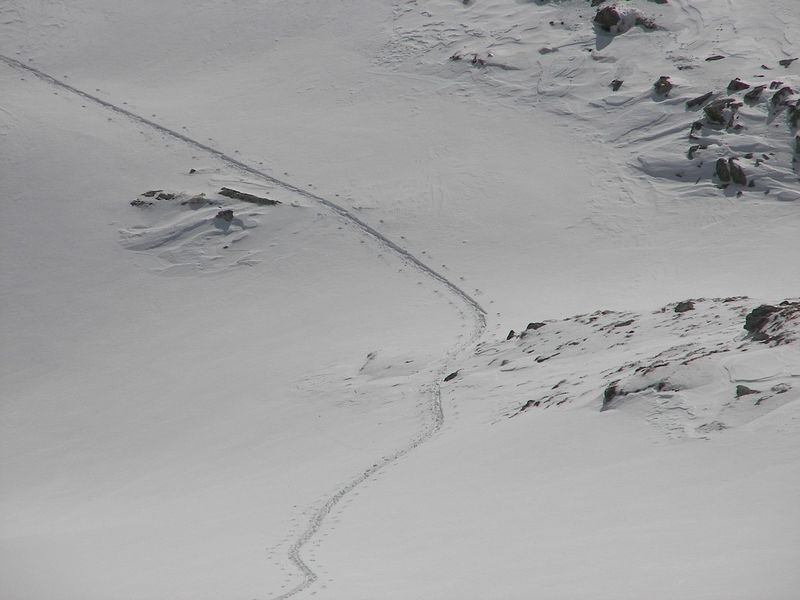 Datei:Wildkar 2464 2007-03-05.jpg