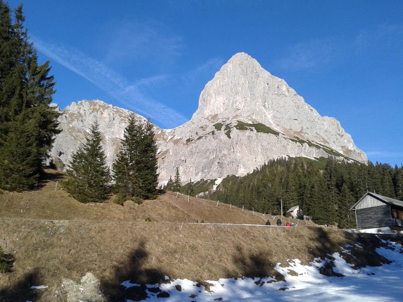 Datei:Admonter Kalbling.jpg