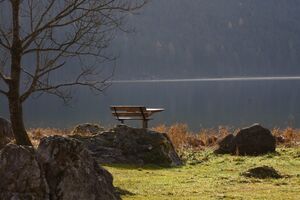 Altaussee seewiese 79049 2014-11-15.jpg