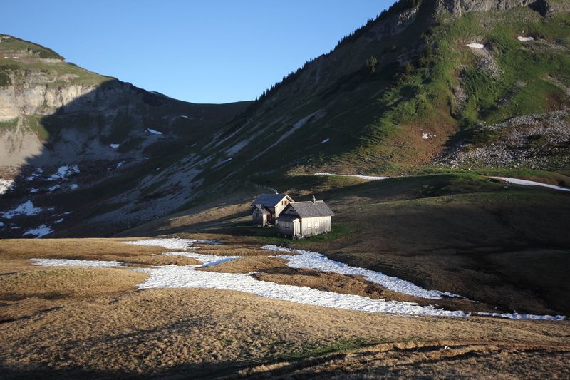 Datei:Bräuningalm 50216 2017-06-11.jpg