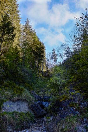 Butterbründlbach Gesäuse-14-2021-05-26.jpg