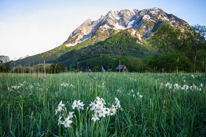 Datei:Europaschutzgebiet niederstuttern6203.jpg