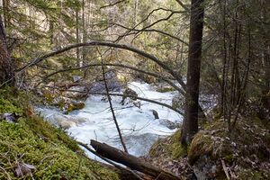 Klachauer gefällstufe-0095-2023-04-22.jpg