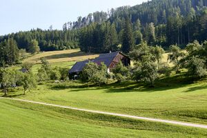 Kupferbauer breitau 1-0199-2025-06-18.jpg