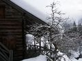 Lackneralm 46814 2006-02-25.jpg