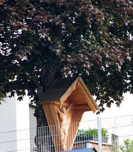 Naslerkreuz WB bei Liezen -116-2026-06-18.jpg