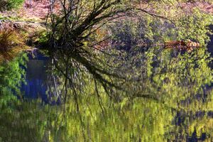 Toplitzsee 77782 2014-11-03.jpg
