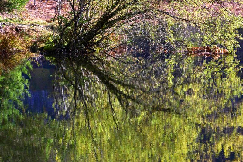 Datei:Toplitzsee 77782 2014-11-03.jpg